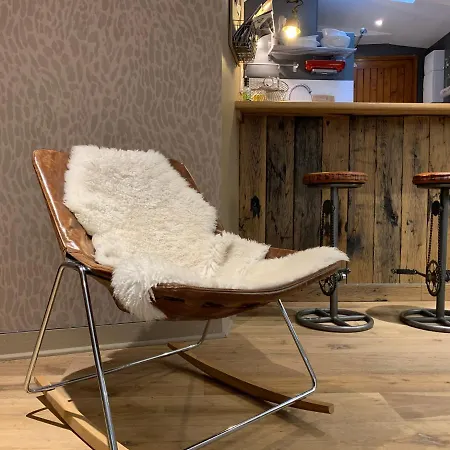 Le Petit Vintage - Terrasse - 公寓 翁弗勒尔